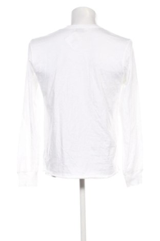 Herren Shirt Zara, Größe L, Farbe Weiß, Preis 13,99 €