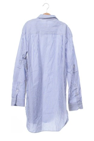 Herrenhemd Zara, Größe XS, Farbe Mehrfarbig, Preis € 15,99