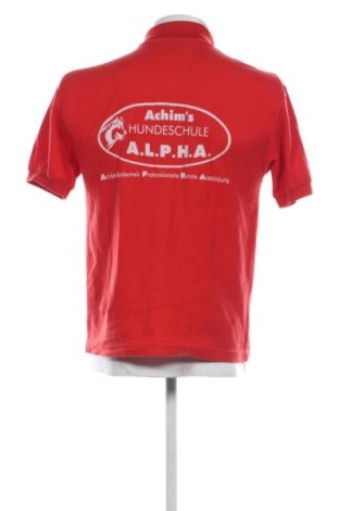 Męski T-shirt Fruit Of The Loom, Rozmiar S, Kolor Czerwony, Cena 39,99 zł