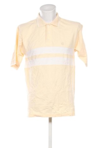 Ανδρικό t-shirt Ivy Oxford, Μέγεθος L, Χρώμα Πολύχρωμο, Τιμή 29,99 €