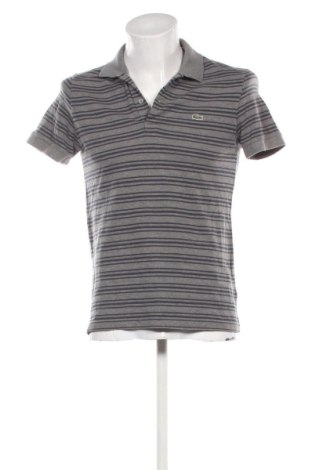 Herren T-Shirt Lacoste, Größe S, Farbe Mehrfarbig, Preis € 36,99