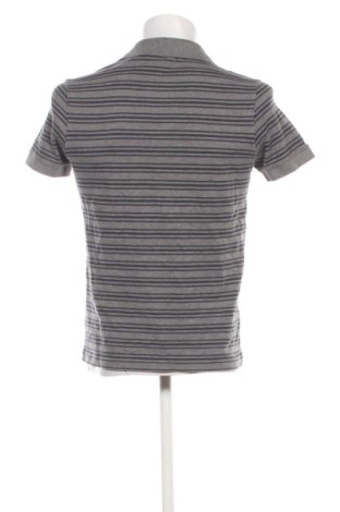 Herren T-Shirt Lacoste, Größe S, Farbe Mehrfarbig, Preis € 36,99