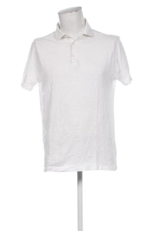 Męski T-shirt Paul Taylor, Rozmiar XL, Kolor Biały, Cena 98,99 zł