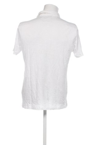 Męski T-shirt Paul Taylor, Rozmiar XL, Kolor Biały, Cena 98,99 zł