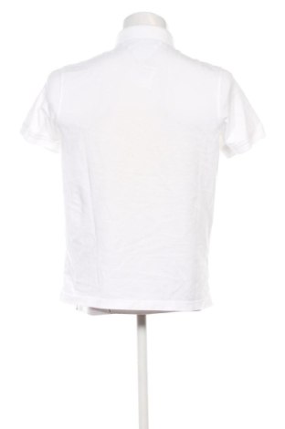 Pánske tričko  Tommy Hilfiger, Veľkosť L, Farba Biela, Cena  35,00 €