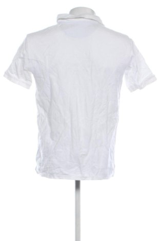 Pánske tričko  U.S. Polo Assn., Veľkosť XL, Farba Biela, Cena  29,95 €