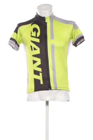 Ανδρικό t-shirt Unbranded, Μέγεθος M, Χρώμα Πολύχρωμο, Τιμή 5,99 €, #136051678