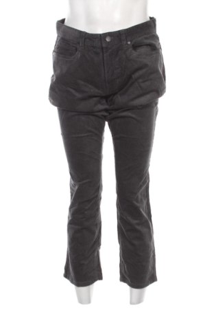 Pánské menčestráky English Laundry, Veľkosť M, Farba Sivá, Cena  65,95 €