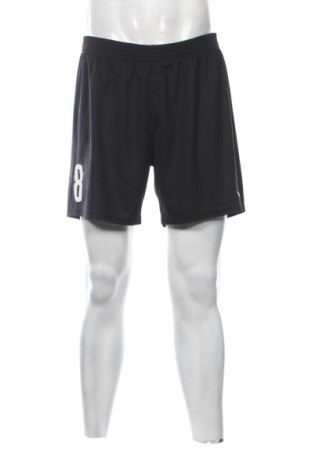 Herren Shorts Erima, Größe L, Farbe Schwarz, Preis 7,00 €