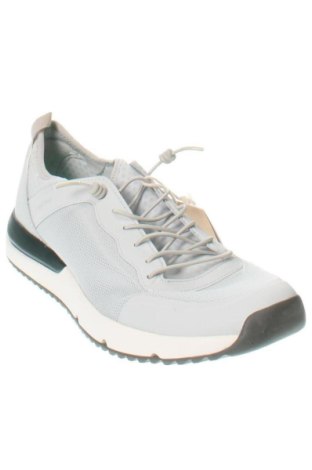 Férfi cipők
 Canyon, Méret 45, Szín Szürke, Ár 27 669 Ft