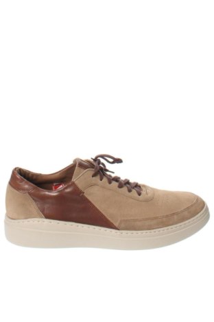 Herrenschuhe Dreimaster, Größe 45, Farbe Mehrfarbig, Preis € 147,99