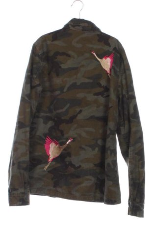 Ανδρικό μπουφάν Groggy, Μέγεθος S, Χρώμα Πολύχρωμο, Τιμή 29,99 €