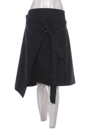 Fustă COS, Mărime L, Culoare Albastru, Preț 151,18 Lei