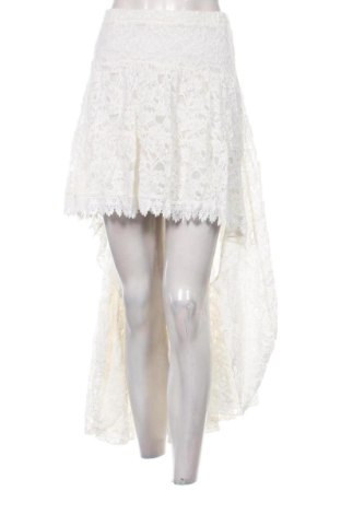 Φούστα Lynne, Μέγεθος XL, Χρώμα  Μπέζ, Τιμή 13,00 €