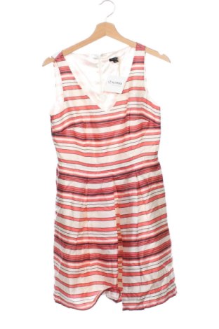 Kleid Ann Taylor, Größe XS, Farbe Mehrfarbig, Preis € 37,99