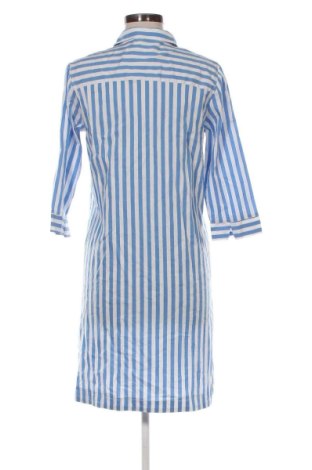 Kleid Betty Barclay, Größe M, Farbe Mehrfarbig, Preis 54,99 €