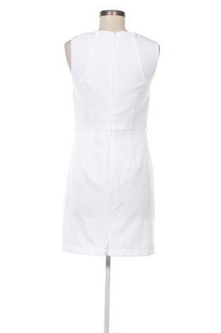 Kleid Body Flirt, Größe S, Farbe Mehrfarbig, Preis € 26,99