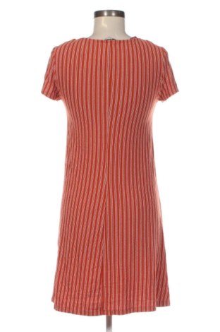 Kleid Clockhouse, Größe M, Farbe Mehrfarbig, Preis 8,99 €