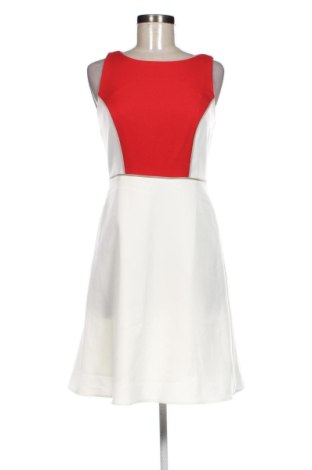 Šaty  Dorothy Perkins, Velikost M, Barva Vícebarevné, Cena  799,00 Kč