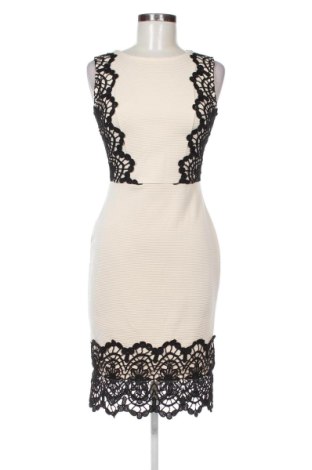 Šaty  Dorothy Perkins, Veľkosť M, Farba Viacfarebná, Cena  16,95 €