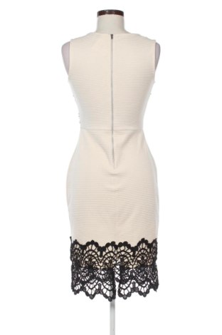 Šaty  Dorothy Perkins, Veľkosť M, Farba Viacfarebná, Cena  16,95 €