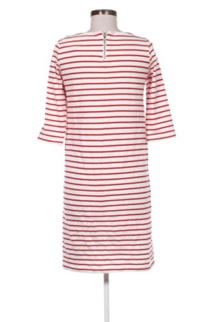 Kleid Esmara, Größe S, Farbe Mehrfarbig, Preis € 26,99