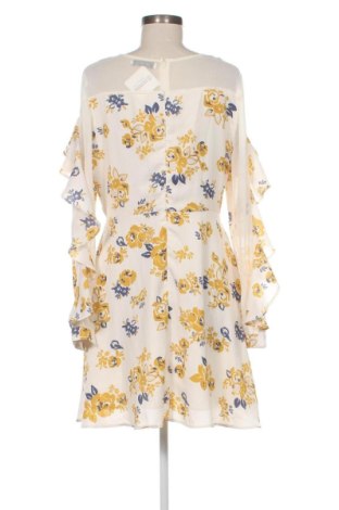 Kleid Glamorous, Größe L, Farbe Mehrfarbig, Preis € 25,00