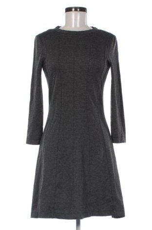 Kleid Mango, Größe S, Farbe Mehrfarbig, Preis 22,99 €