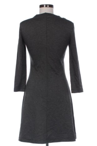 Kleid Mango, Größe S, Farbe Mehrfarbig, Preis 22,99 €