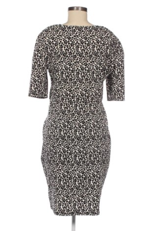 Kleid Orsay, Größe L, Farbe Mehrfarbig, Preis 25,99 €