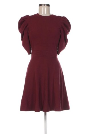 Kleid Ted Baker, Größe XS, Farbe Rot, Preis € 107,99