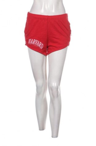Dámské kraťasy  Harvard, Velikost S, Barva Červená, Cena  99,00 Kč