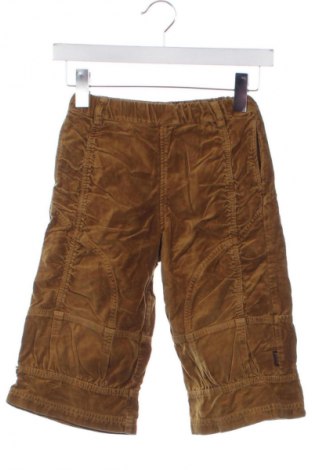 Pantaloni pentru copii Jottum, Mărime 4-5y/ 110-116 cm, Culoare Maro, Preț 5,99 Lei