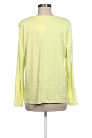 Dámska blúza Betty Barclay, Veľkosť XL, Farba Zelená, Cena  23,00 €