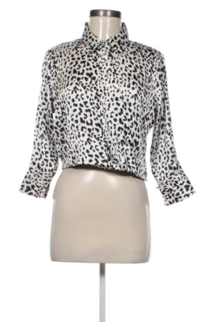 Damen Shirt Calliope, Größe M, Farbe Mehrfarbig, Preis € 5,99