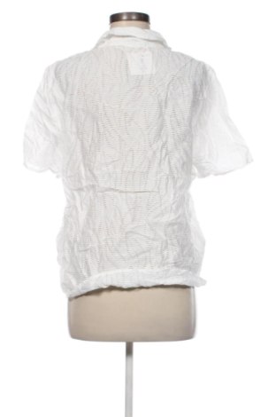 Dámska blúza Cecil, Veľkosť L, Farba Biela, Cena  16,95 €