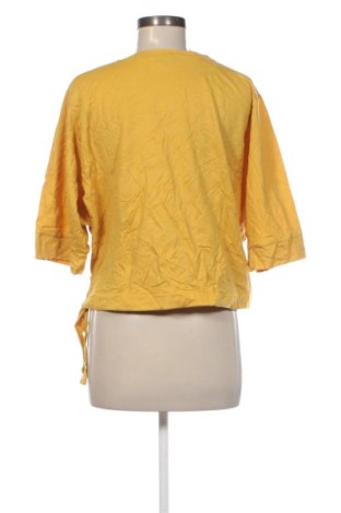 Γυναικεία μπλούζα EDAS, Μέγεθος M, Χρώμα Πορτοκαλί, Τιμή 41,99 €