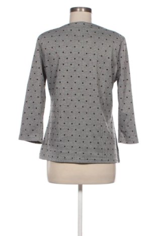 Γυναικεία μπλούζα Greenpoint, Μέγεθος L, Χρώμα Πολύχρωμο, Τιμή 9,70 €