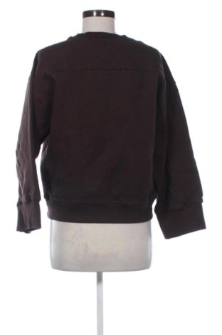 Damen Shirt Next, Größe S, Farbe Braun, Preis € 41,99