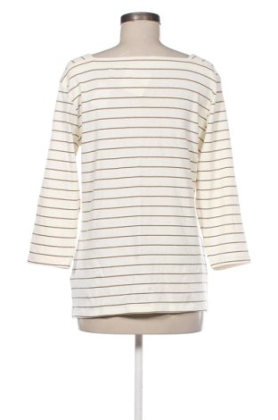 Γυναικεία μπλούζα Nutmeg, Μέγεθος XL, Χρώμα Πολύχρωμο, Τιμή 15,85 €