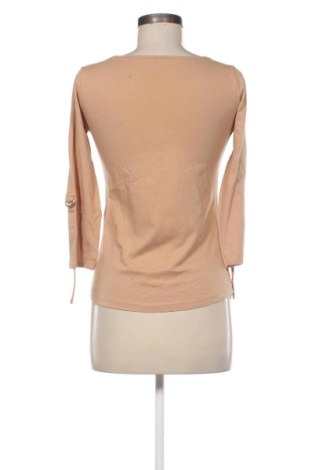 Damen Shirt Sinsay, Größe S, Farbe Braun, Preis 9,78 €
