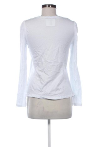 Γυναικεία μπλούζα Terranova, Μέγεθος M, Χρώμα Λευκό, Τιμή 11,99 €