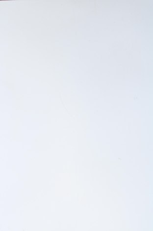 Damen Shirt Unbranded, Größe XL, Farbe Mehrfarbig, Preis € 12,99