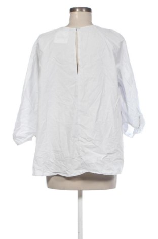 Γυναικεία μπλούζα United Colors Of Benetton, Μέγεθος M, Χρώμα Μπλέ, Τιμή 17,36 €