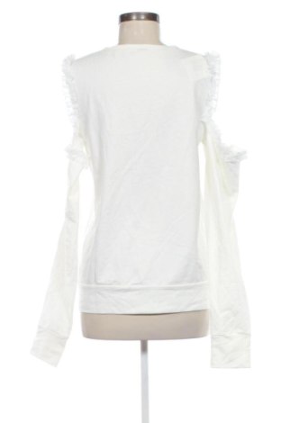 Γυναικεία μπλούζα Zebra, Μέγεθος XL, Χρώμα Λευκό, Τιμή 11,99 €