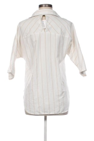 Damska koszula Bebe Plus, Rozmiar S, Kolor Kolorowy, Cena 69,66 zł