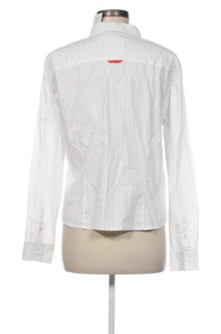 Damska koszula Brax, Rozmiar L, Kolor Kolorowy, Cena 151,10 zł