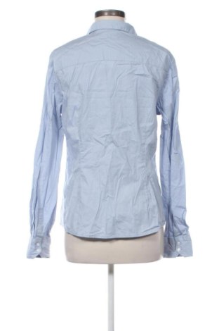 Damska koszula Calliope, Rozmiar XL, Kolor Niebieski, Cena 41,00 zł