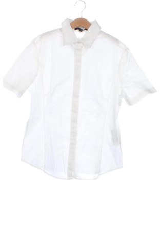 Damska koszula Frangi, Rozmiar XS, Kolor Biały, Cena 76,00 zł