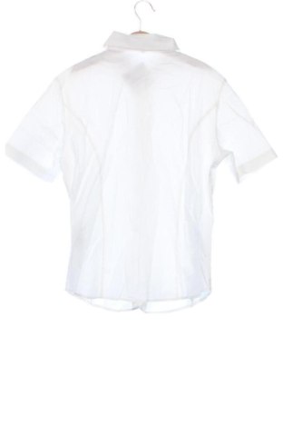 Damska koszula Frangi, Rozmiar XS, Kolor Biały, Cena 76,00 zł